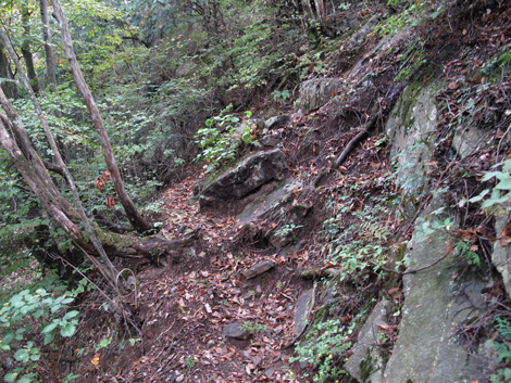 20181009hike (142)